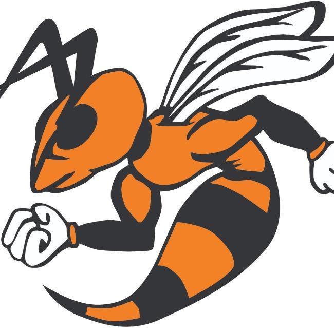 Springer. T Ferry Hornets