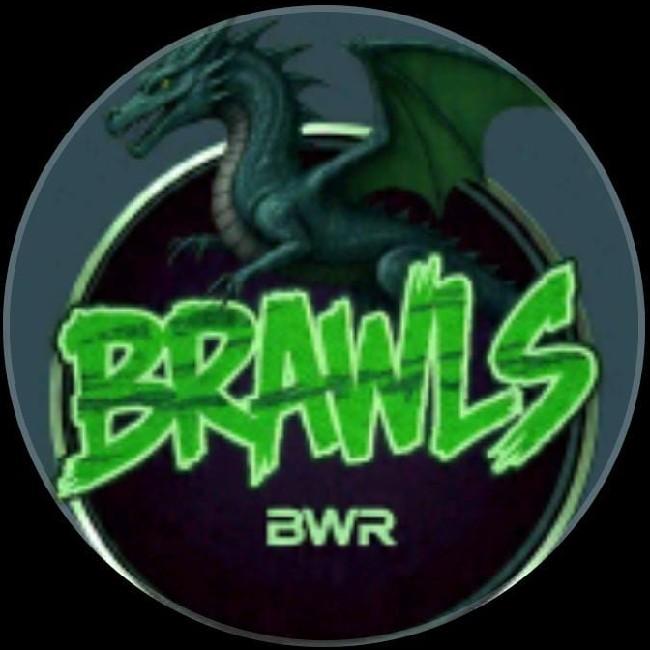 BWR-BRAWLS