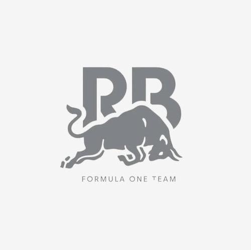 Рейсинг Буллс