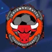 Colombo bulls