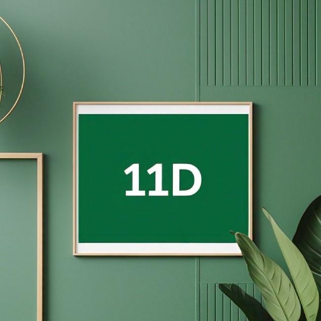 11 D