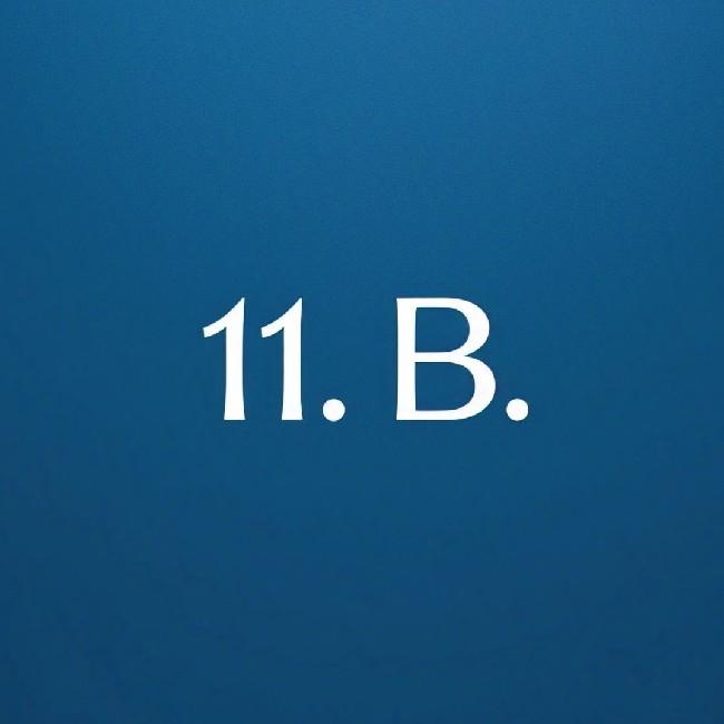 11 B