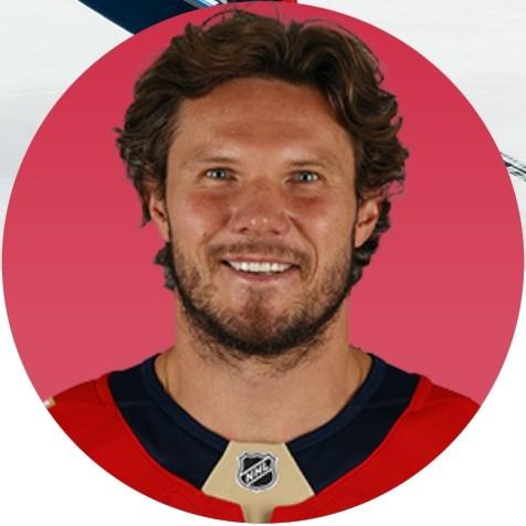 Dmitry Kulikov
