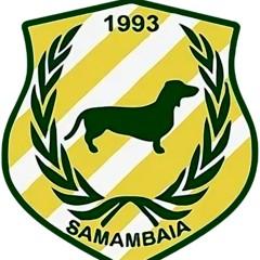 Samambaia