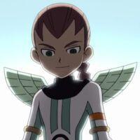 Sael