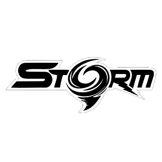 P13 | STORM