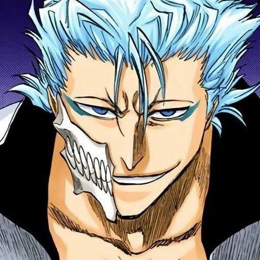 Grimmjow🇸🇳