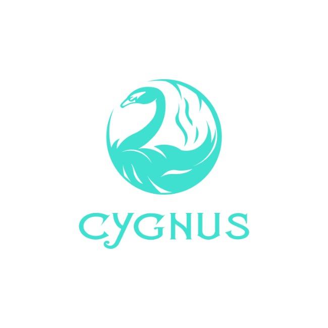 TEAM CYGNUS