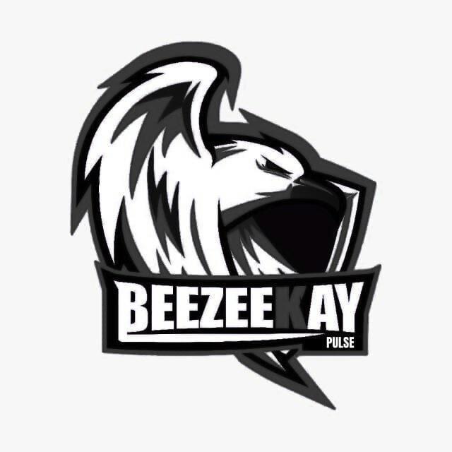 BEEZEEKAY PULSE