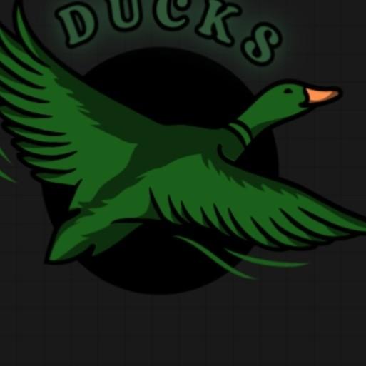 Ducks