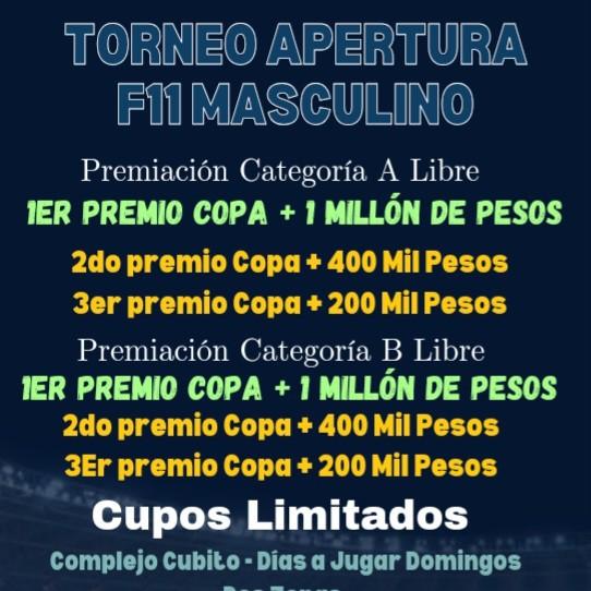 Torneo Apertura F11 2025