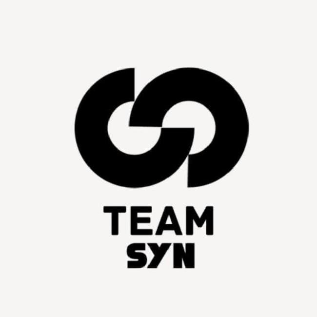 TEAM SYNERGY