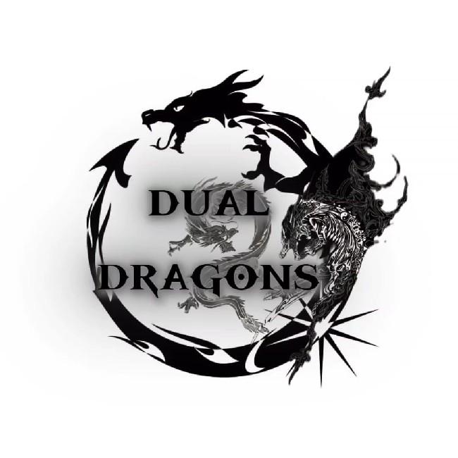 DUAL DRAGONS