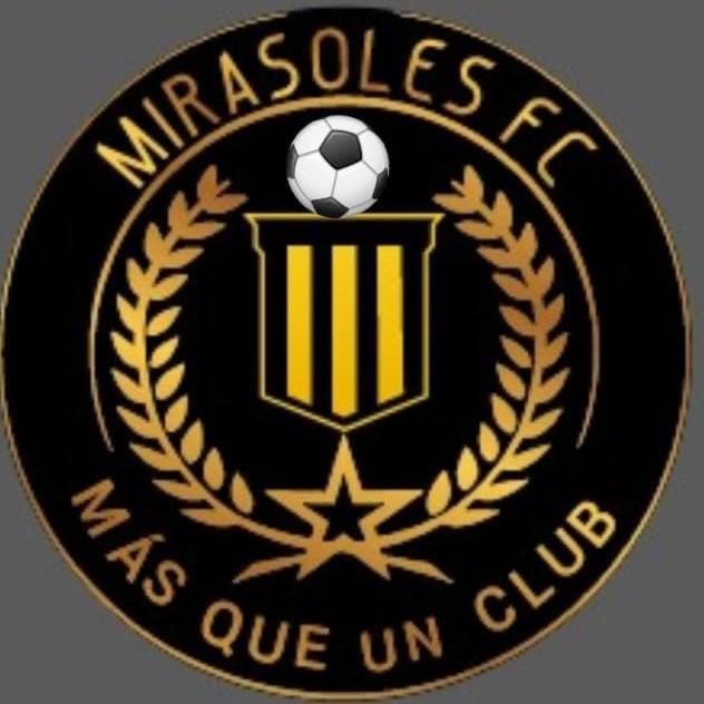 Mirasoles
