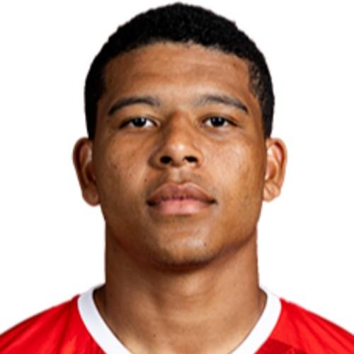 Vinícius Lopes