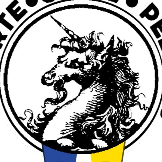 Esporte Clube Pelotas