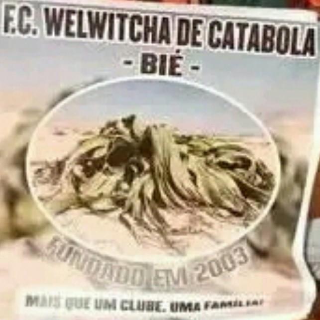 WELWICHA FC