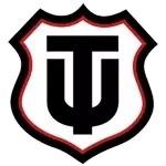 Técnico Universitario