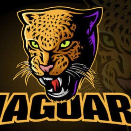 Jaguares jr