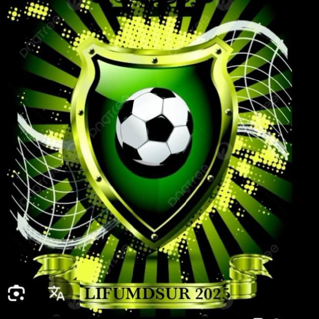 Liga De Fútbol Máster Del Sur