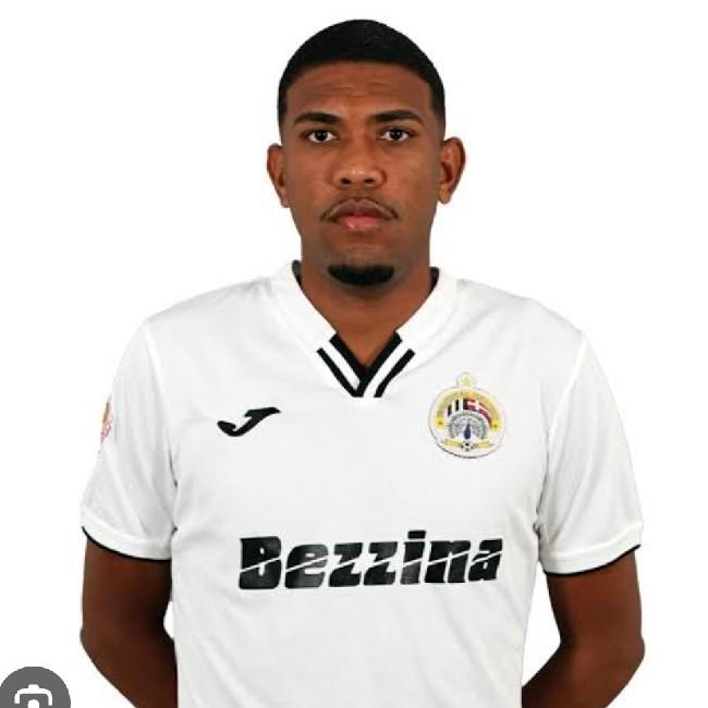 Pedro Henrique Nunes Silva