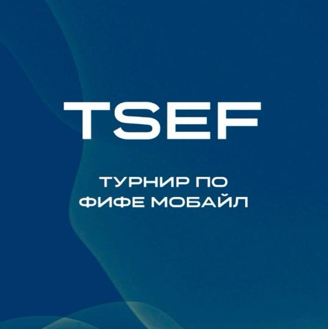 TSEF | Суперлига