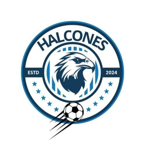 Halcones