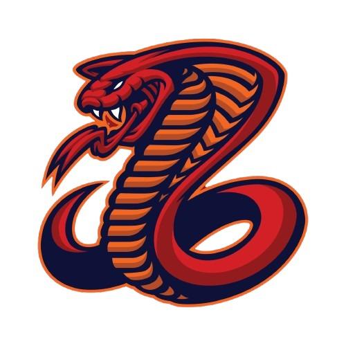 Charlotte Cobras