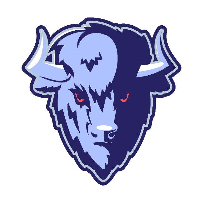 Denver Bison