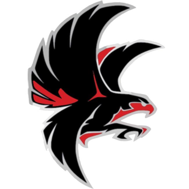 Fresno Falcons
