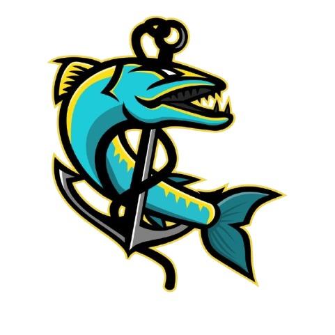 Boise Barracudas