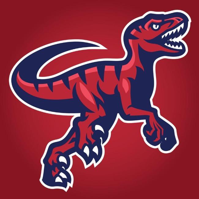 Virginia Beach Raptors