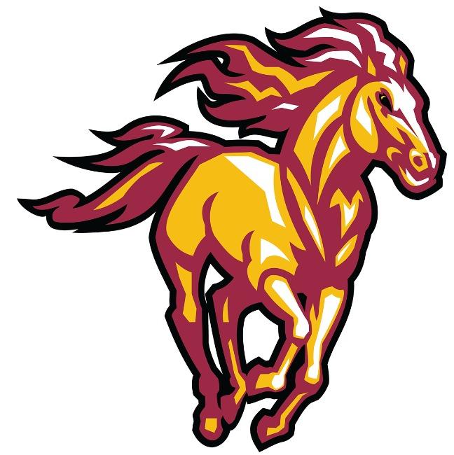 Louisville Stallions
