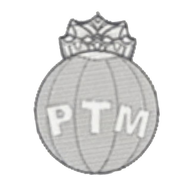 FC Portimion
