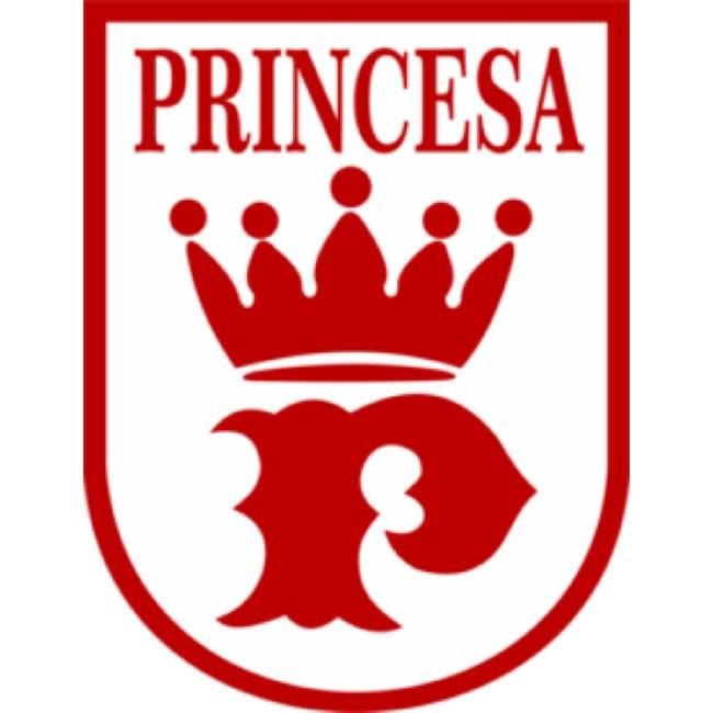 PRINCESA DO SOLIMÕES AM