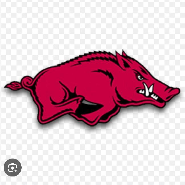 Arkansas Razorbacks