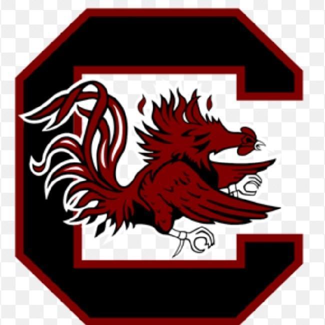 South Carolina Gamecocks