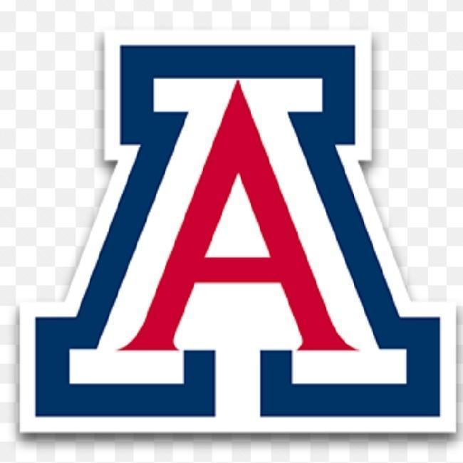 Arizona Wildcats