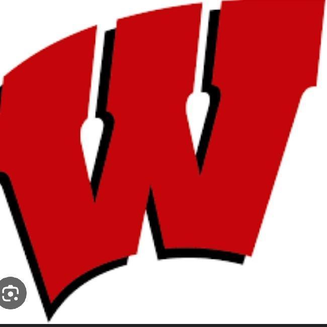 Wisconsin Badgers