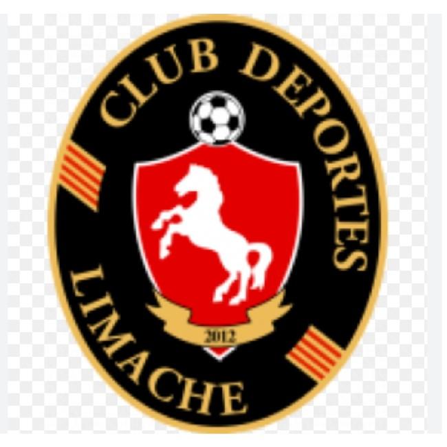 Deportes Limache