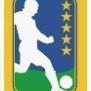 Brasileirão Série A 2009