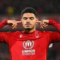 Gibbs-White