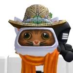 kokester