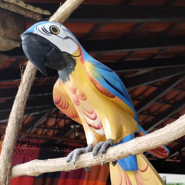 Ararinha azul