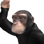 FazJoestar
