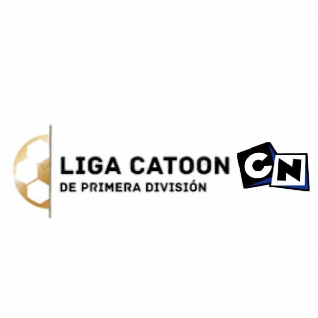 Liga catoon AP 2020