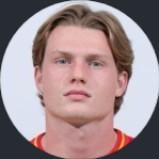 🇧🇪 D. Foulon