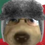 foxygamer666di