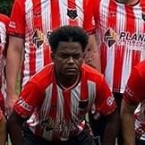 Amauri