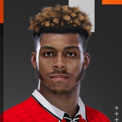 Elijah Willard